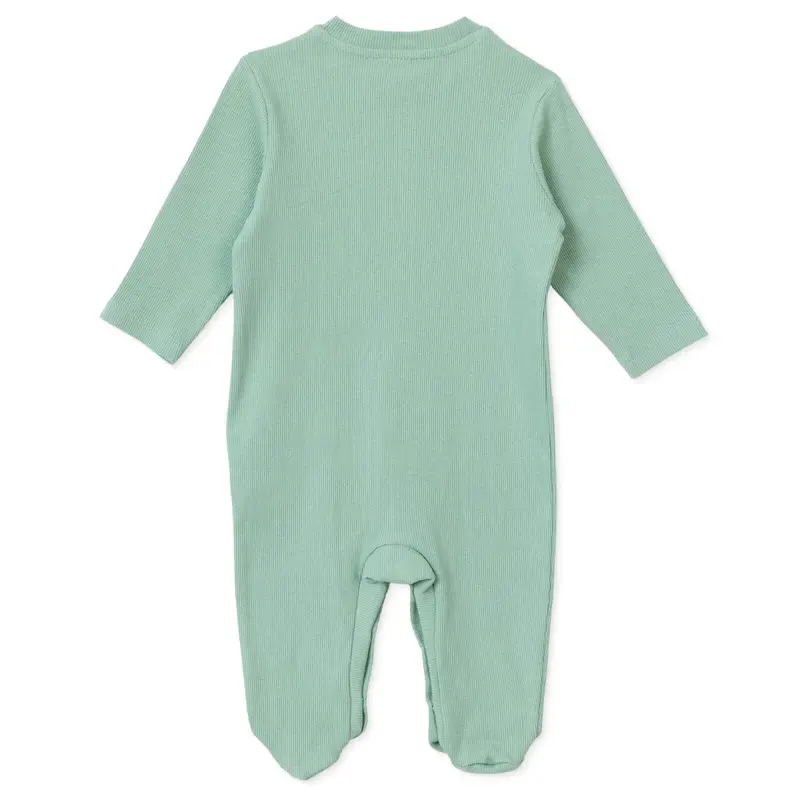 Baby Boy Footed Sleepsuit Dinosaur Print Snap Fastening Crew Neck - Green Printed 2
