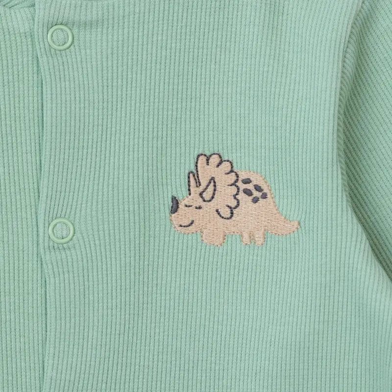 Baby Boy Footed Sleepsuit Dinosaur Print Snap Fastening Crew Neck - Green Printed 4