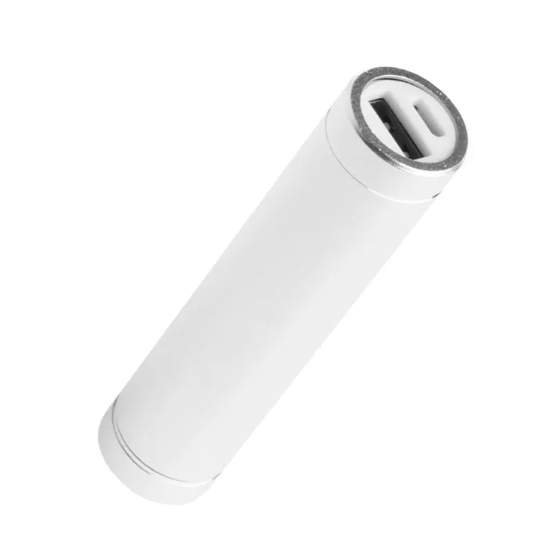 Banco De Energía Portátil 1