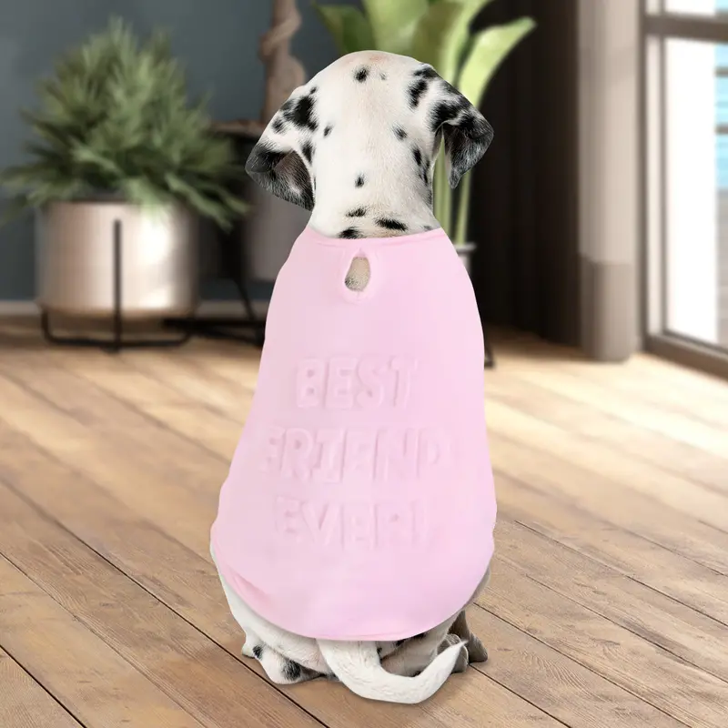 "Best Friend Ever!" Ropa Para Mascota, Color Rosa 2