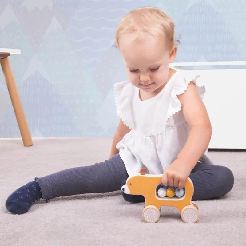 Bigjigs Toys Push Along Bear 2