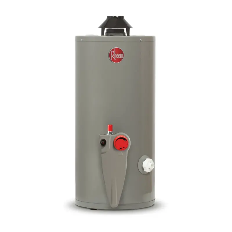 Boiler Calentador De Agua Rheem 38 Litros 1 Servicio Gas Lp 29V10sp 1