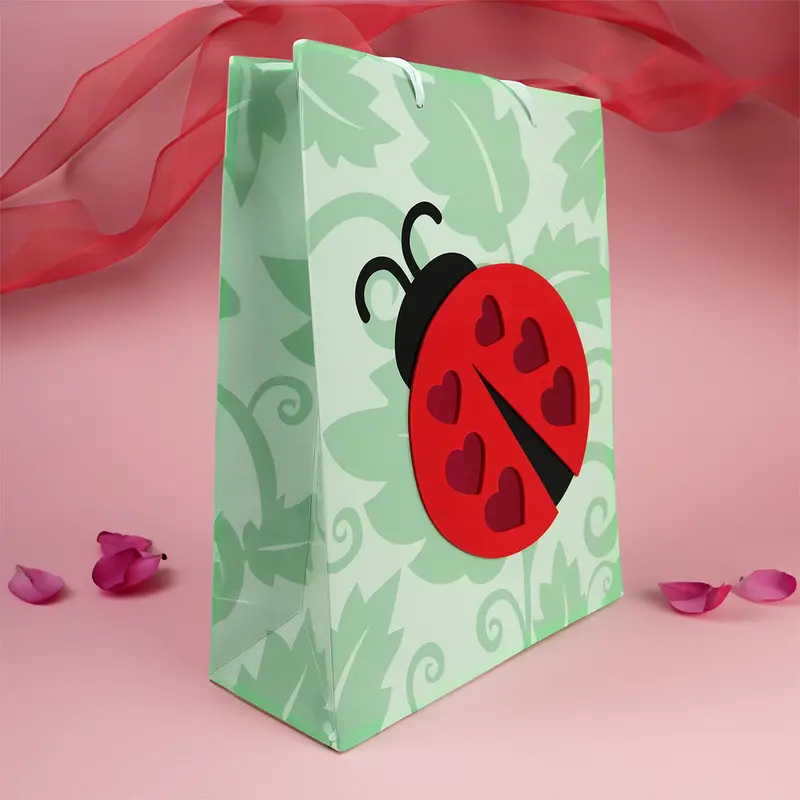 Bolsa De Regalo Con Temática De San Valentín, Catarina 1