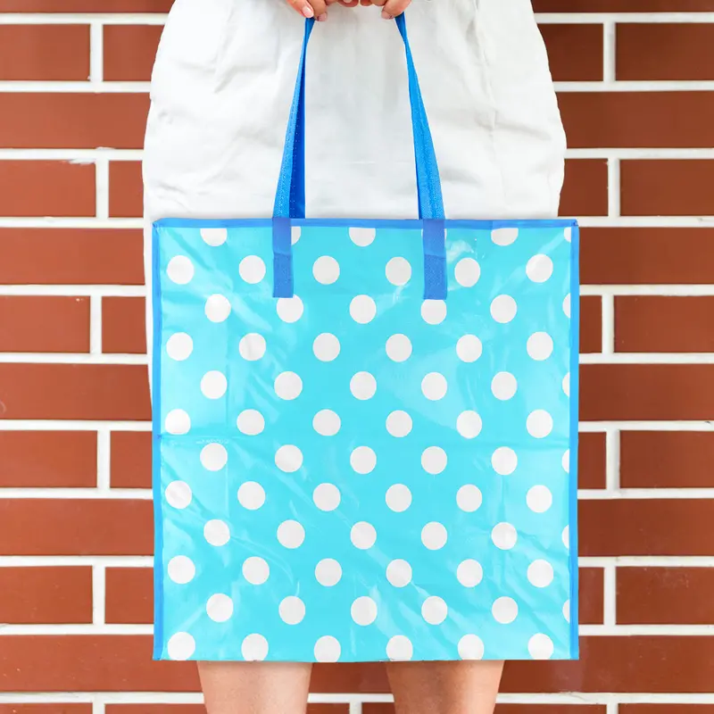 Bolsa Reutilizable Con Cierre, Color Turquesa 1