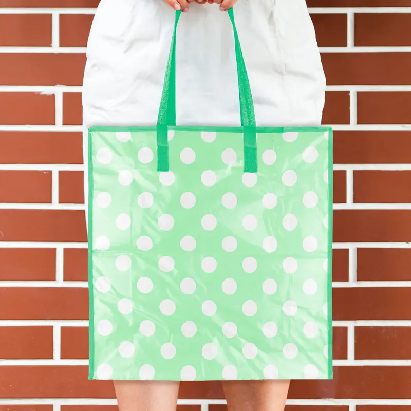 Bolsa Reutilizable Con Cierre, Color Verde 1