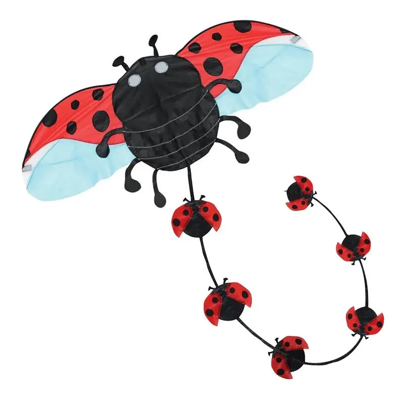 Brookite Ladybird Kite 1