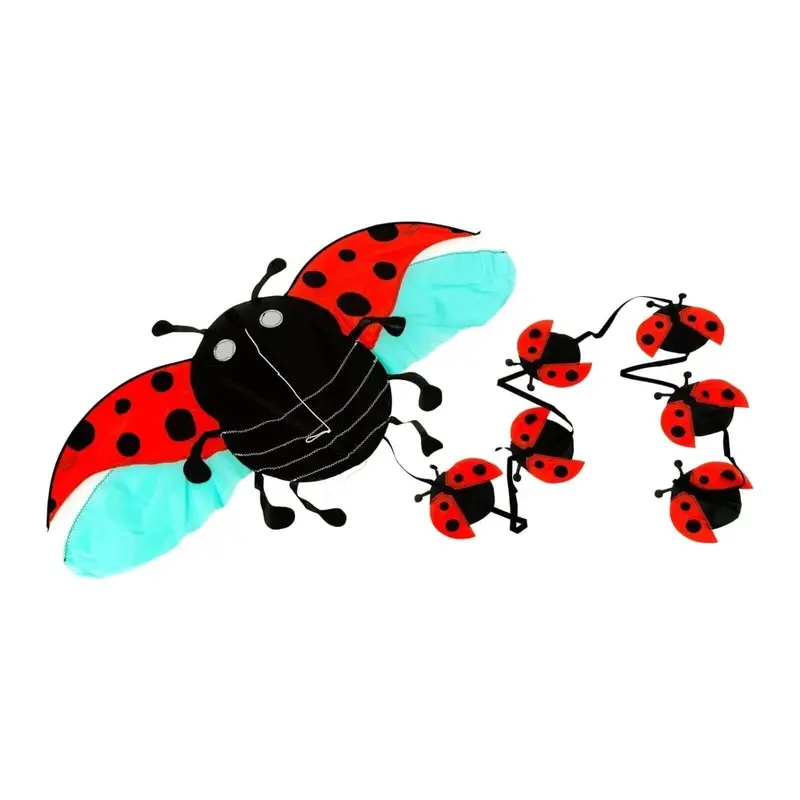 Brookite Ladybird Kite 2