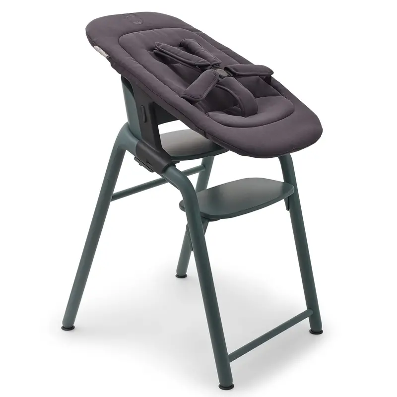 Bugaboo Giraffe Chair And Newborn Set In Black 1