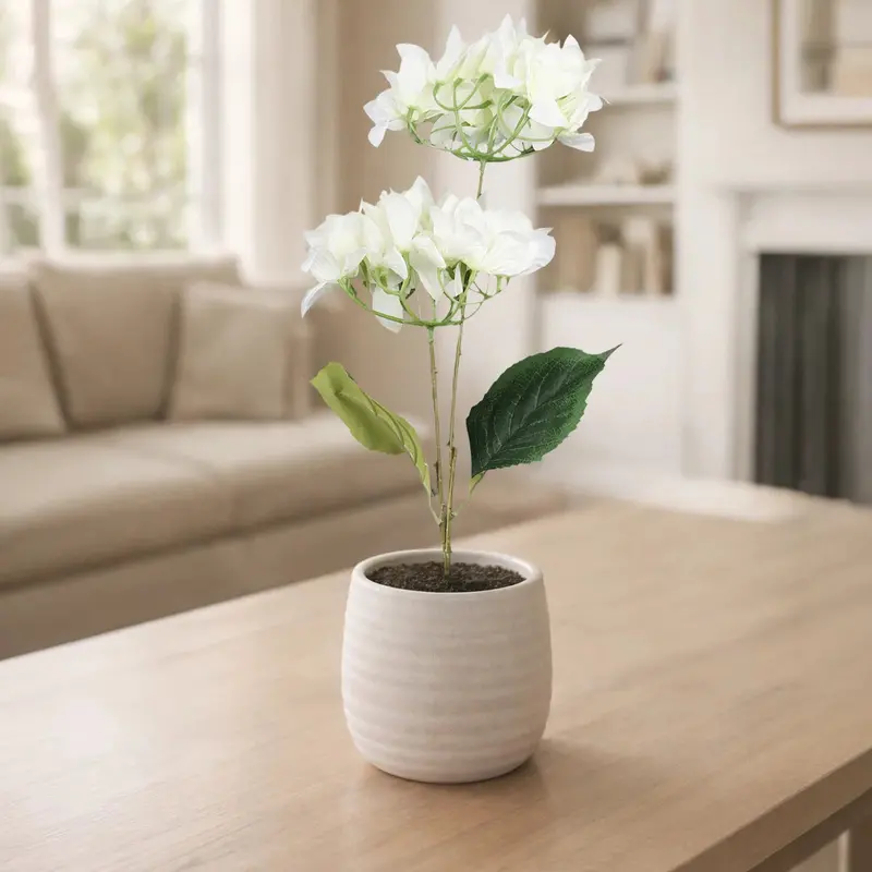 Bugambilia, 2 Flores, Color Blanco 1