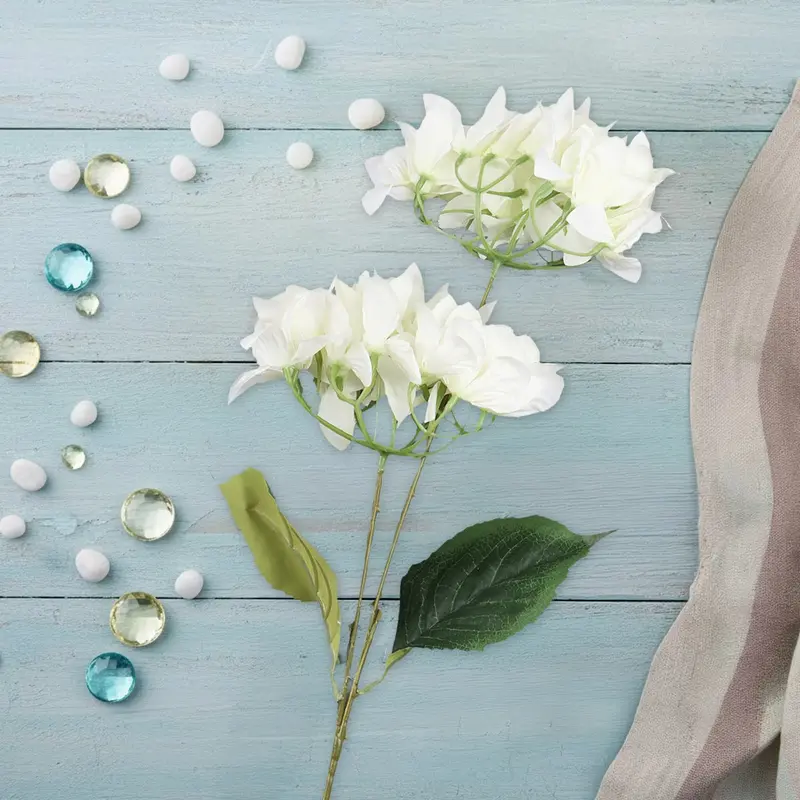 Bugambilia, 2 Flores, Color Blanco 2
