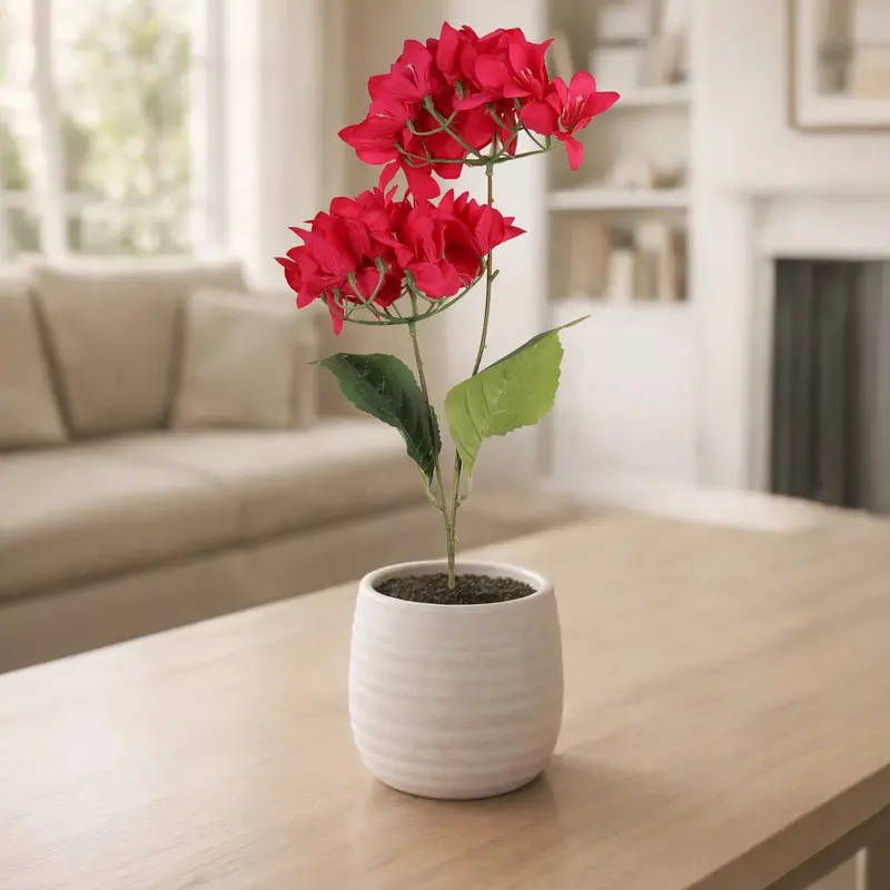 Bugambilia, 2 Flores, Color Fucsia 1