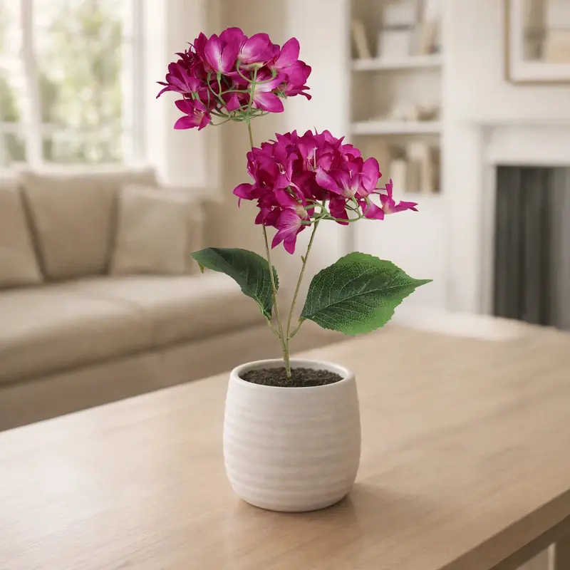 Bugambilia, 2 Flores, Color Morado 1