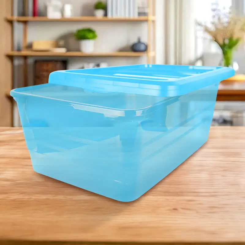 Caja De Plástico Con Tapa, Color Azul 2