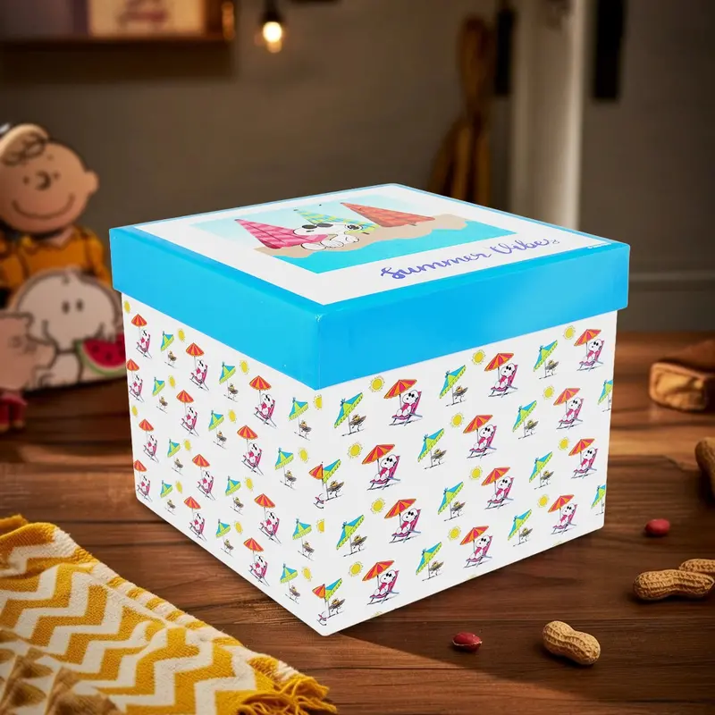 Caja De Regalo, Summer Vibes, Snoopy 2