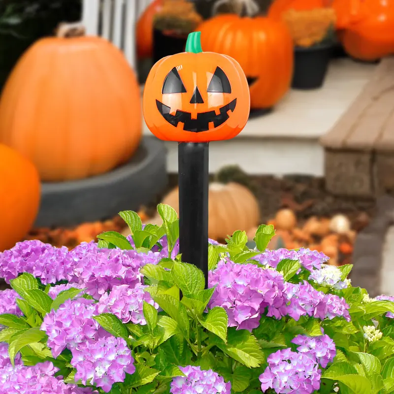 Calabaza, Estaca Solar 1