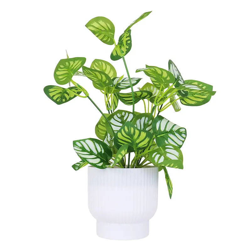 Calathea Artificial Con Maceta Blanca 2