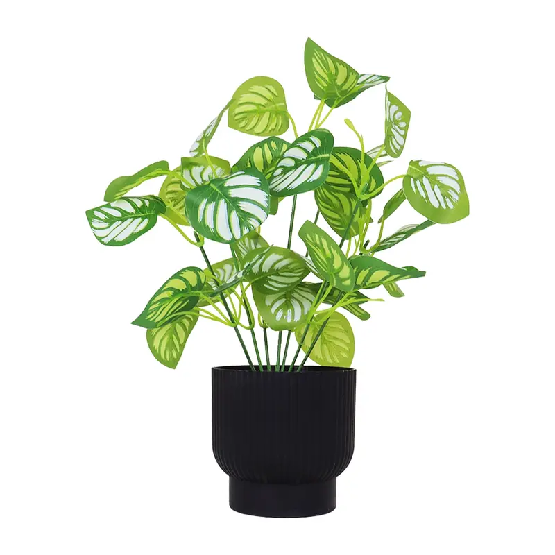 Calathea Artificial Con Maceta Color Negro 2