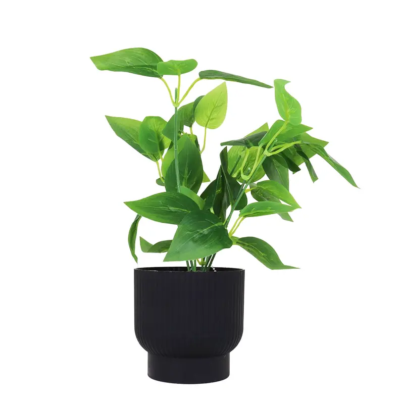 Calathea Artificial Con Maceta Negra 2