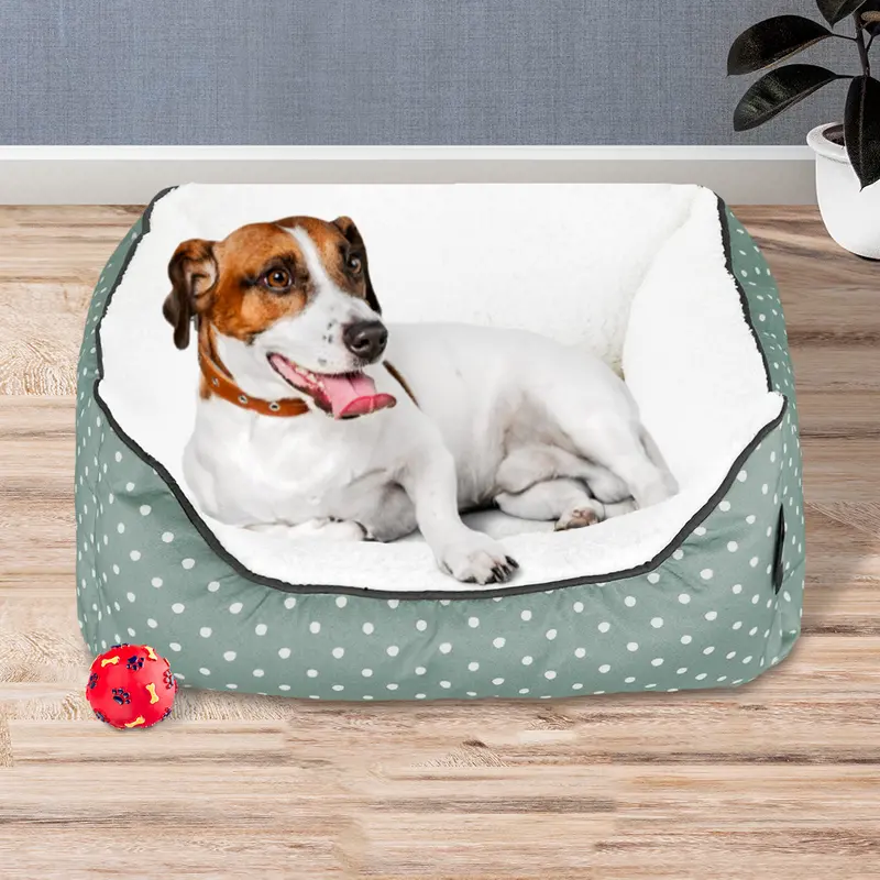 Cama Color Verde Para Mascotas, Gap 1