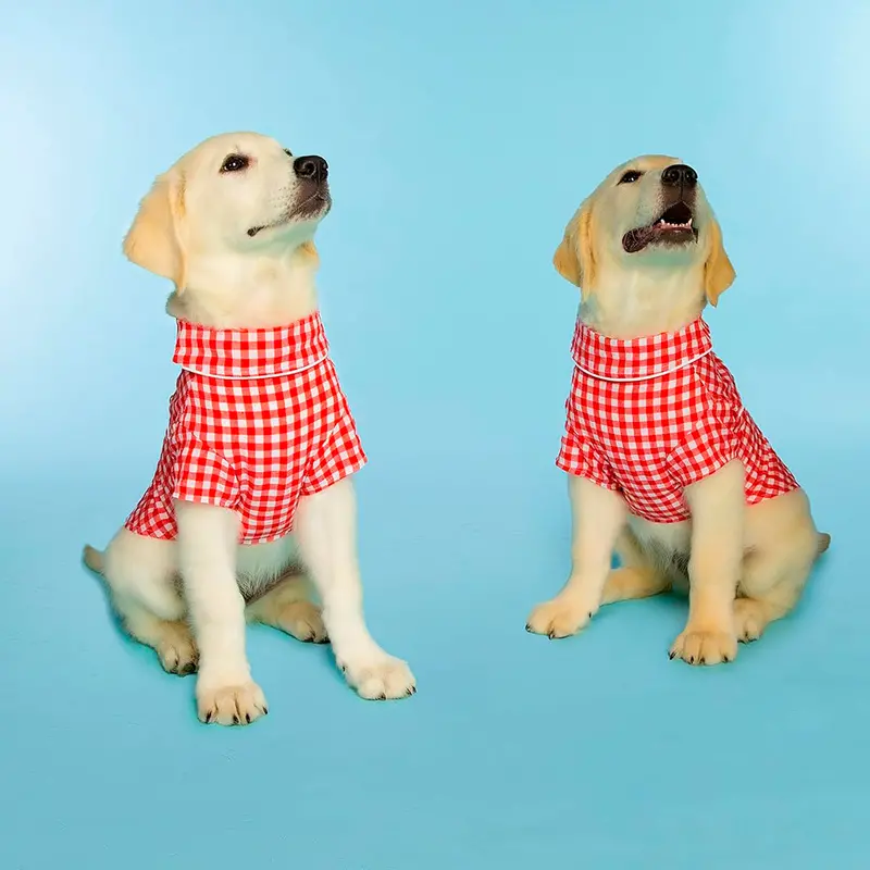 Camisa De Cuadros Con Cuello Occidental Para Mascotas, Doggy Parton 1