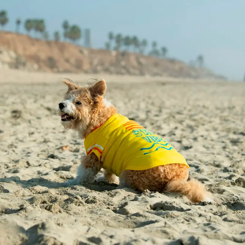 Camiseta Sunny Vibes Para Perro, Talla Xxs, Vibrant Life 1