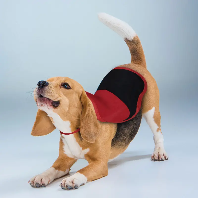 Capa Para Disfraz De Mascota 1