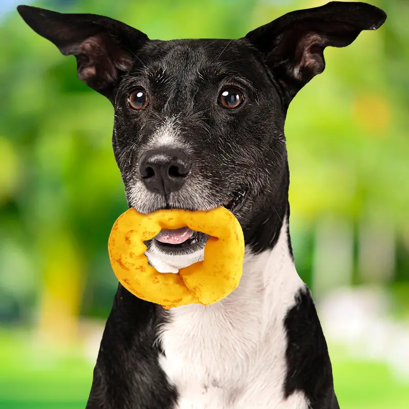 Carnaza En Forma De Dona Para Perro 1