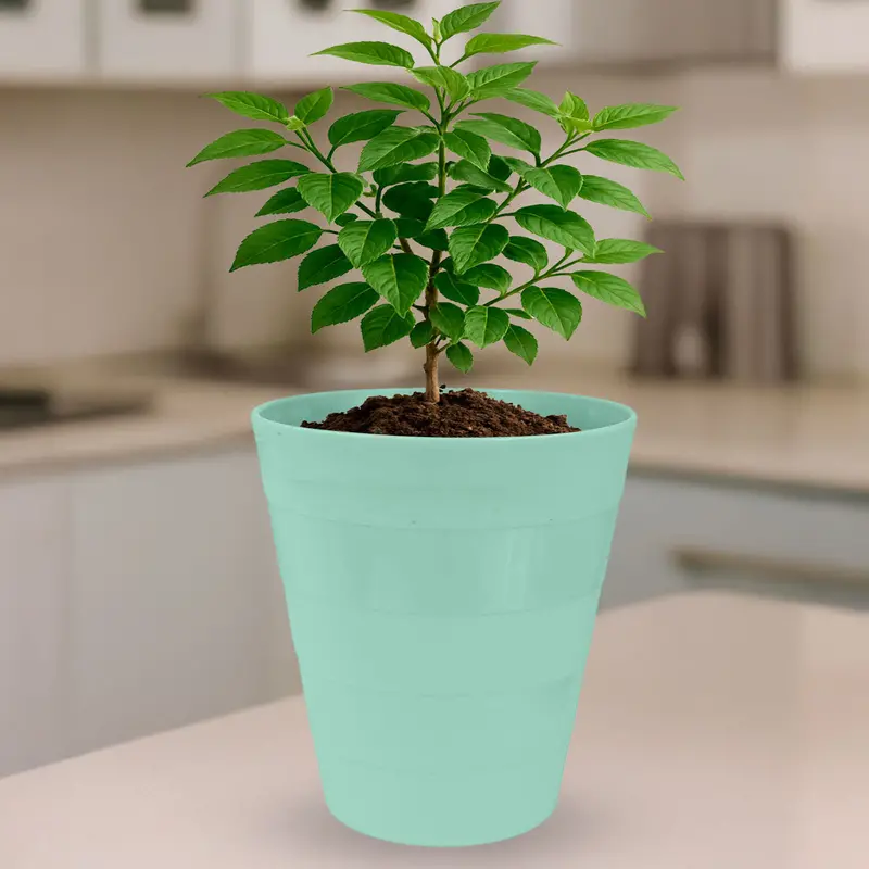 Cesto De Plástico, Color Verde 1