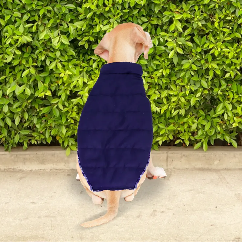Chaleco Color Azul Para Perro 1