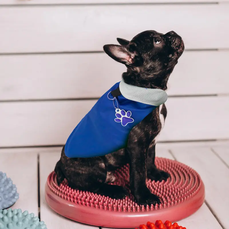 Chaleco Para Perro Con Huellita Colgante Color Azul 1