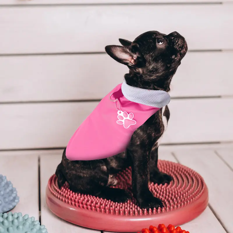Chaleco Para Perro Con Huellita Colgante Color Rosa 1