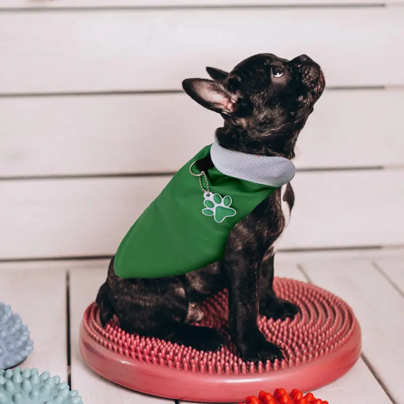 Chaleco Para Perro Con Huellita Colgante Color Verde 1