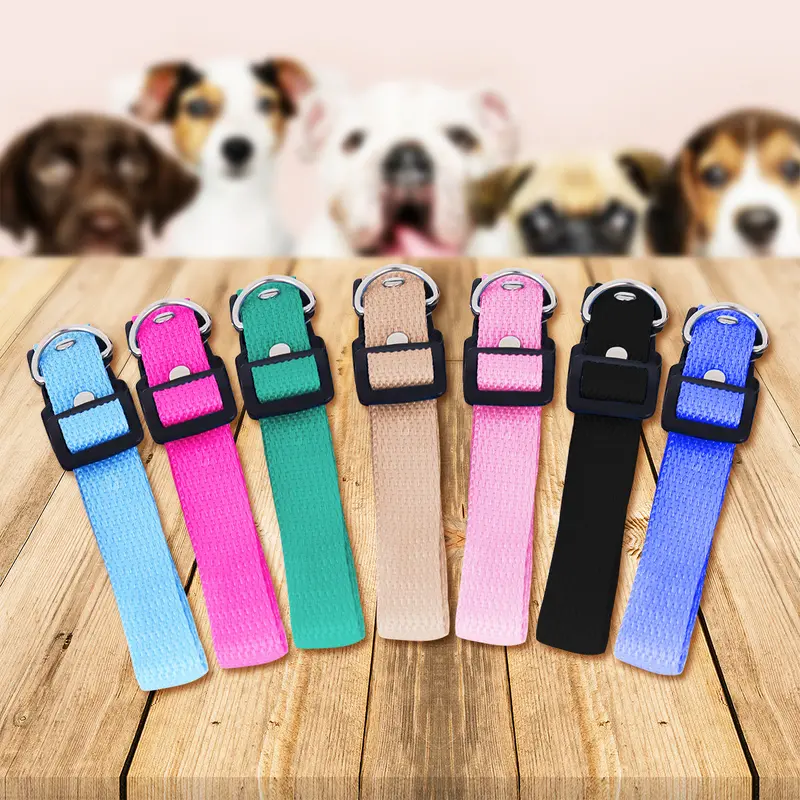 Collar Ajustable Para Mascota 2