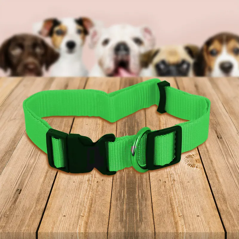 Collar Ajustable Para Mascota 2