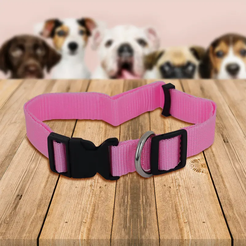 Collar Ajustable Para Mascota 4