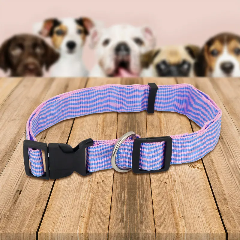 Collar Ajustable Para Mascota 4