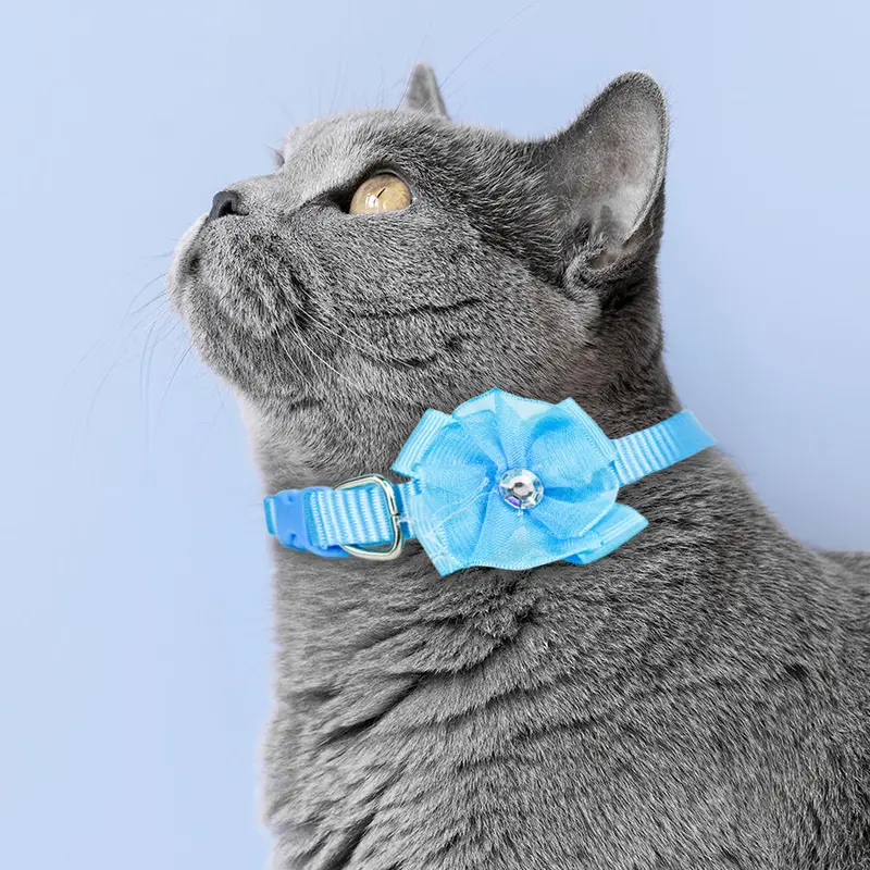 Collar Ajustable Para Mascota Con Flor Azul 1