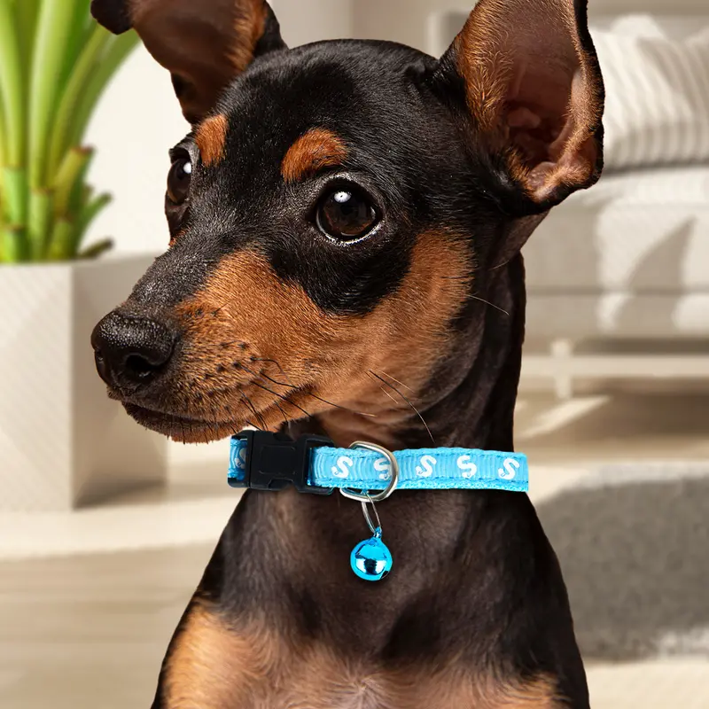 Collar Color Azul Con Cascabel Para Perro 1