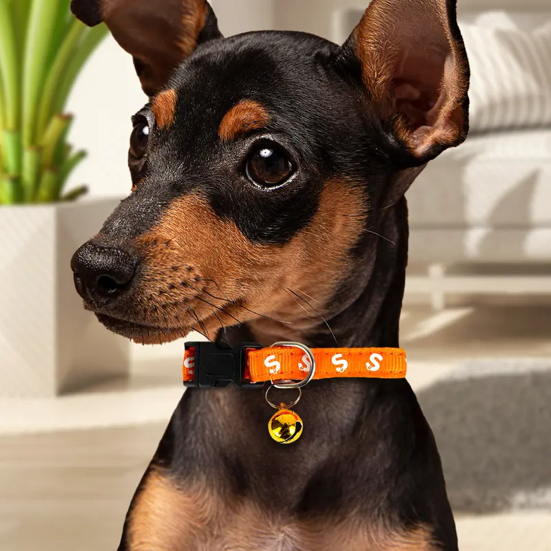 Collar Color Naranja Con Cascabel Para Perro 1
