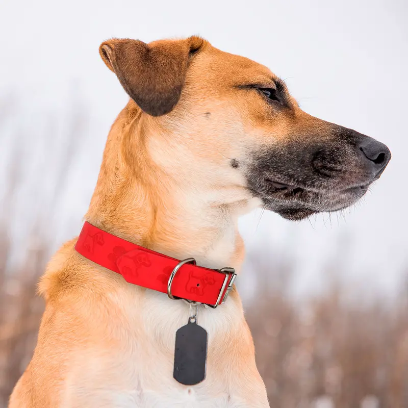 Collar Color Rojo Con Diseño De Perritos Para Mascota 1
