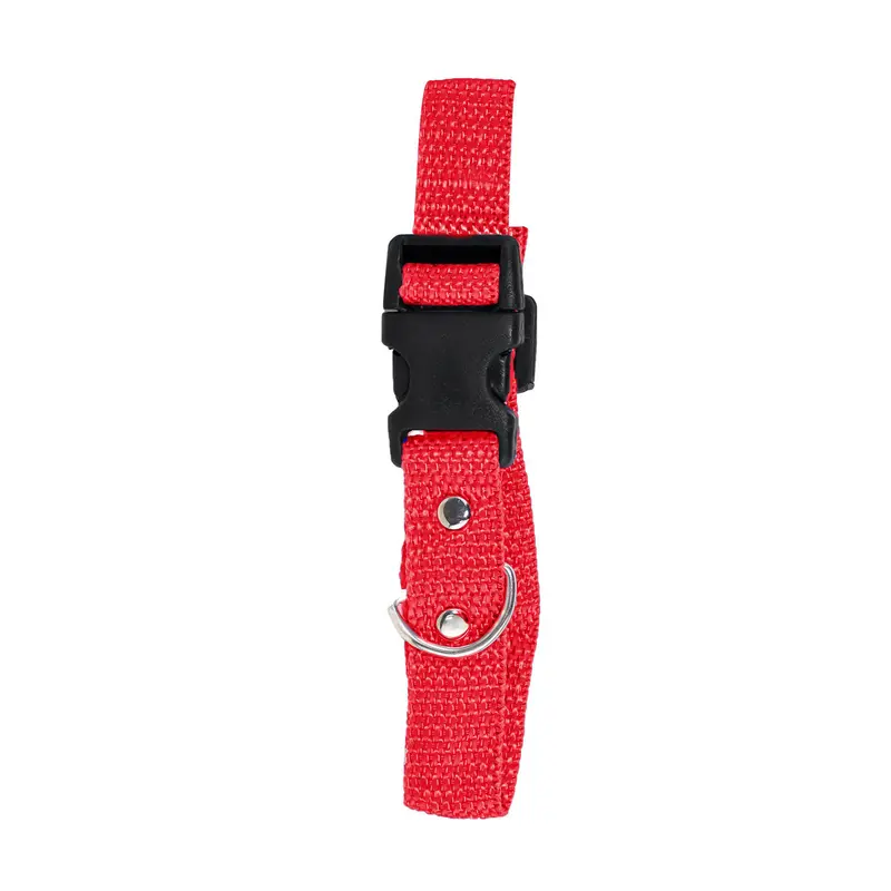 Collar Color Rojo Para Mascota 2