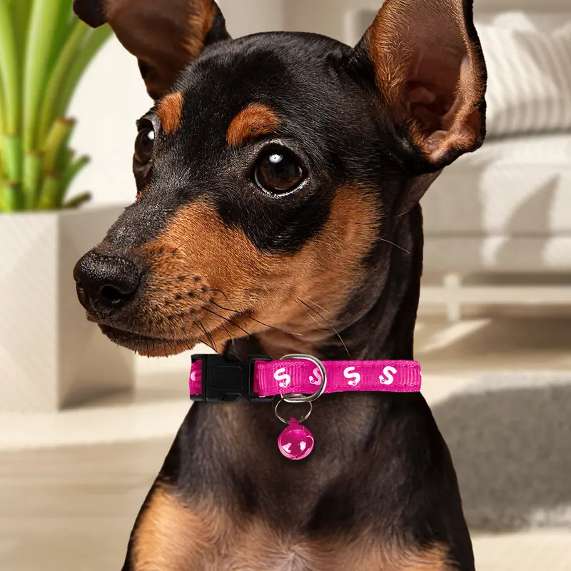 Collar Color Rosa Con Cascabel Para Perro 1