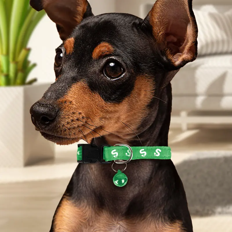 Collar Color Verde Con Cascabel Para Perro 1
