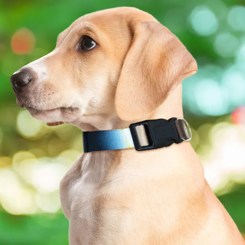 Collar Con Diseño Ajustable Color Azul Con Café Para Mascota 2