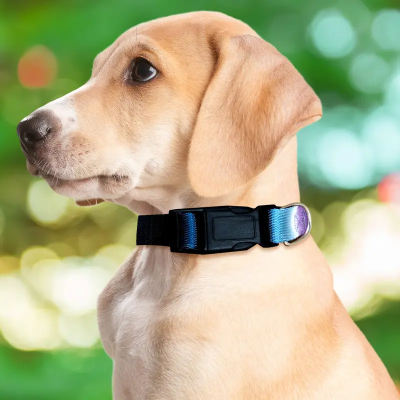 Collar Con Diseño Ajustable Color Morado Para Mascota 2