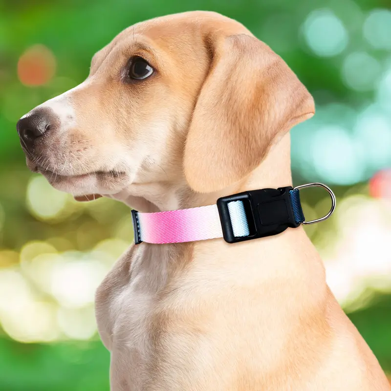 Collar Con Diseño Ajustable Color Rosa Con Azul Para Mascota 2