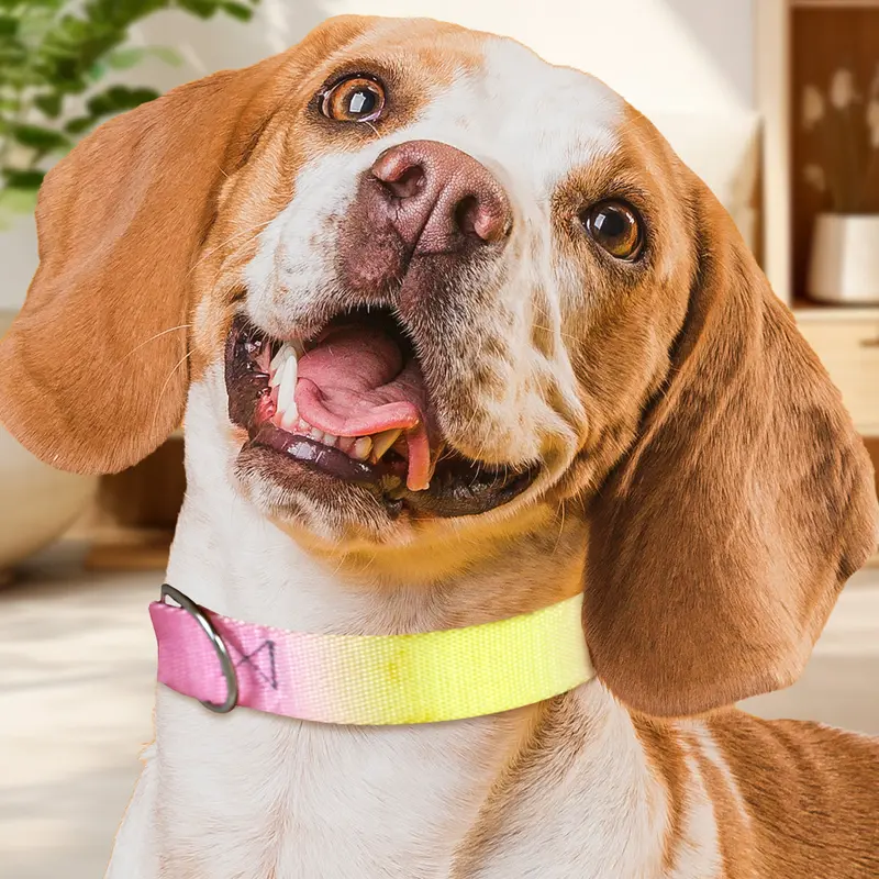 Collar Con Diseño Ajustable Color Rosa Para Mascota 1