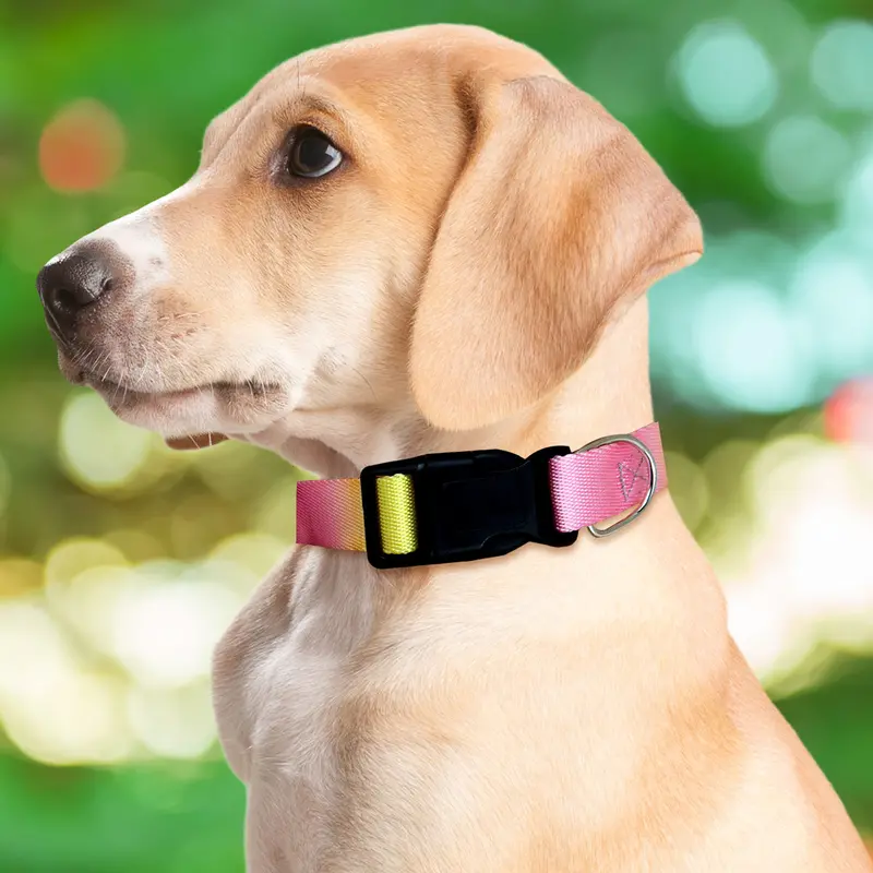 Collar Con Diseño Ajustable Color Rosa Para Mascota 2