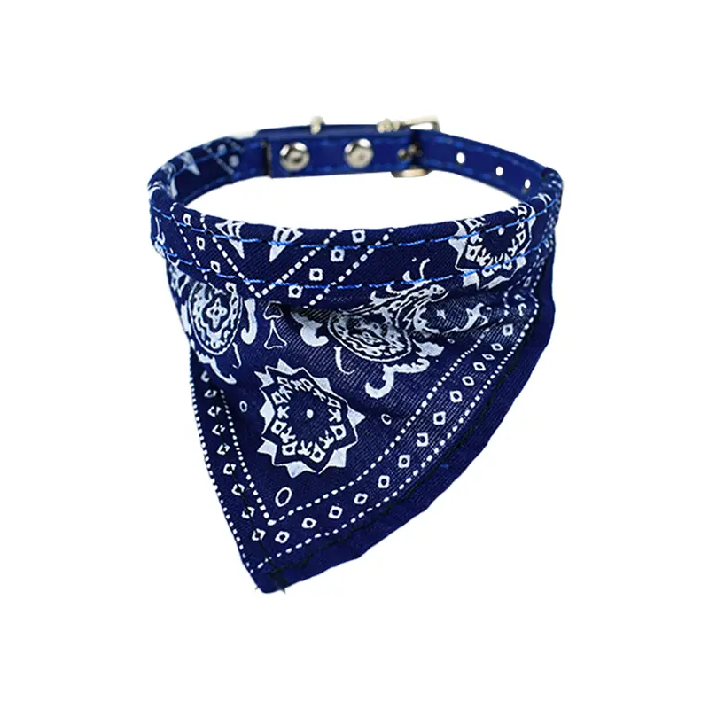 Collar Decorado Regional Razas Pequeñas Color Azul 1