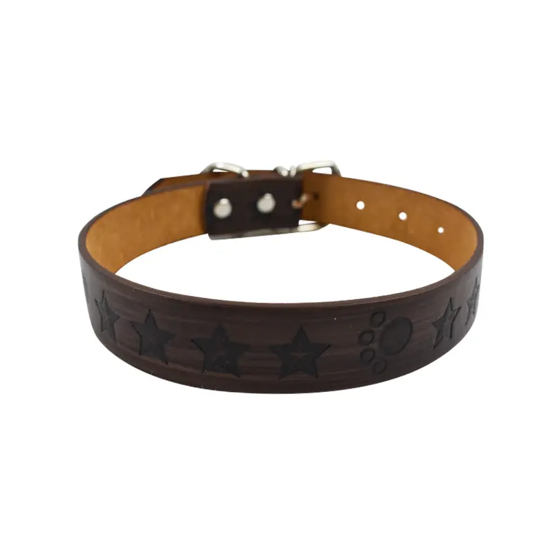 Collar Para Mascota 2.5Cm 1